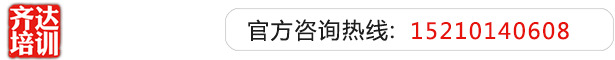 插死你,无码视频免费齐达艺考文化课-艺术生文化课,艺术类文化课,艺考生文化课logo